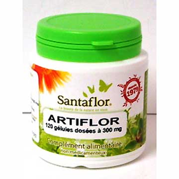 Santaflor Artiflor