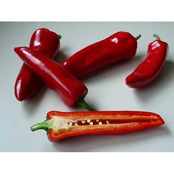 Extrait de paprika Bio