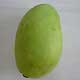 Mangue