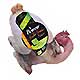 Effilés de poulet fermier bio