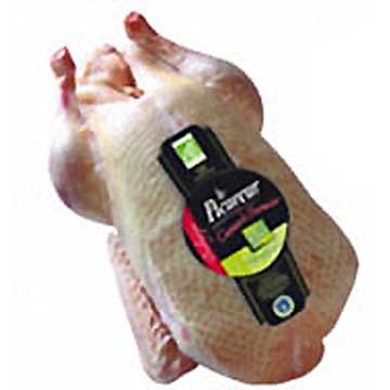 Canard fermier bio PAC