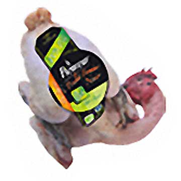 Effilés de poulet fermier bio