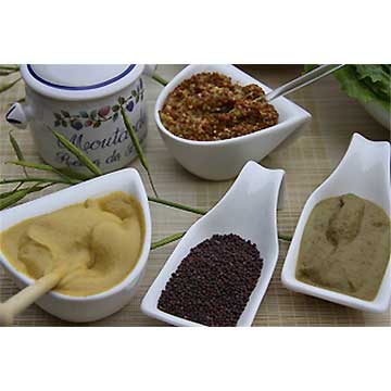 Gamme de moutardes bio