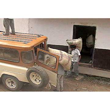 Transport