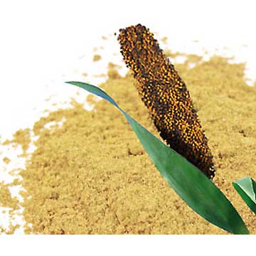 Farine de millet brun sans gluten