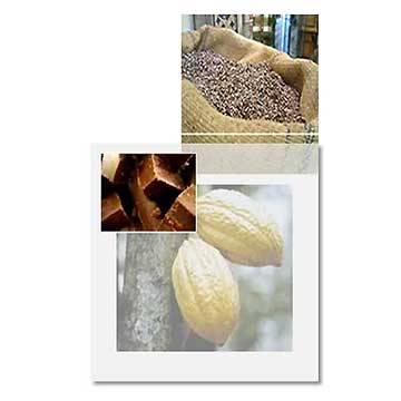 Cacao et Chocolat