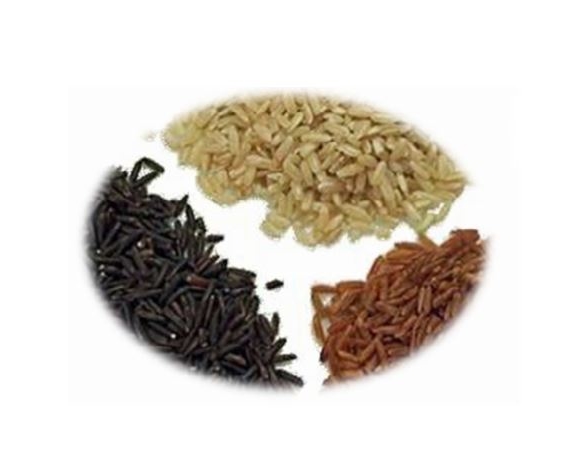 PhytoTrace Riz