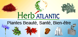 HERB' ATLANTIC