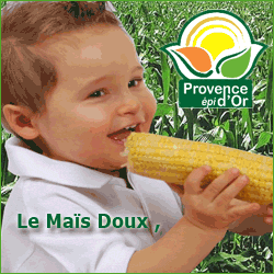 PROVENCE EPI D'OR
