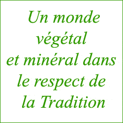 LABORATOIRES HERBOLISTIQUE