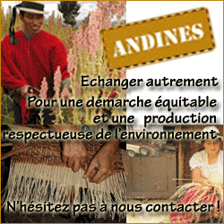 ANDINES SCOP