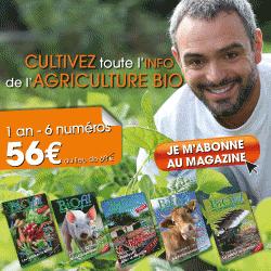 EDITIONS FITAMANT