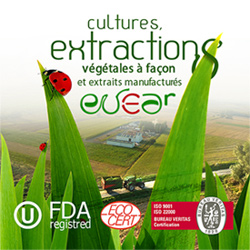 EVEAR EXTRACTION
