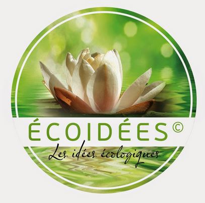 Logo ECOIDEES