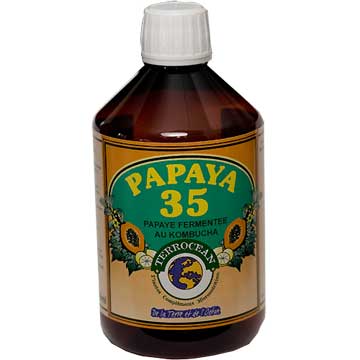 Papaya 35 au Kombucha