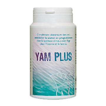 Yam Plus Homme