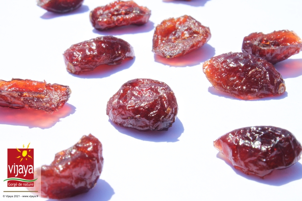 Visuel deCranberry (Canneberge) Séchée au Jus de Canne - Bio Cranberries