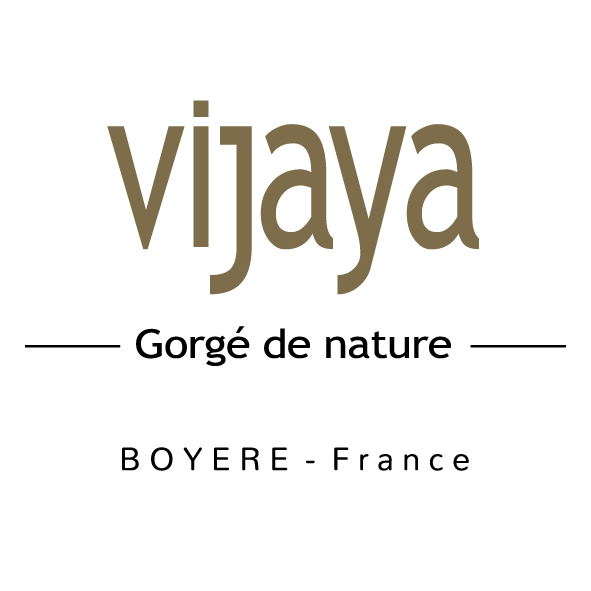 Logo BOYERE (marque VIJAYA)