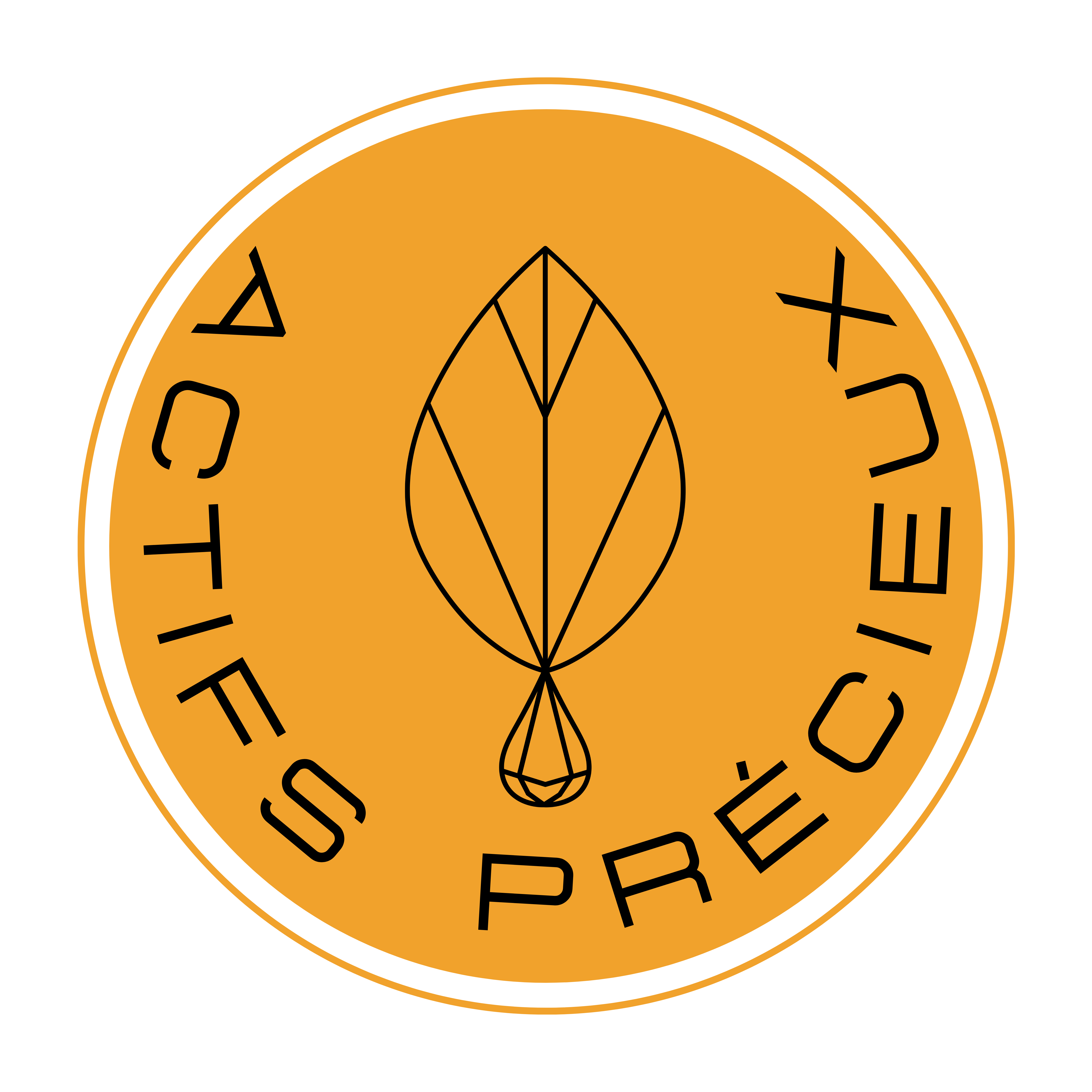 Logo ACTIFS PRÉCIEUX